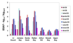 Figure 3. SEQ Figure \* ARABIC \r 3 3. Observed PCB Bioaccumulation in Worms